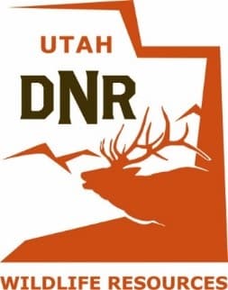 DWR Proposing Mandatory Reporting For General-Season Deer And Elk Hunts