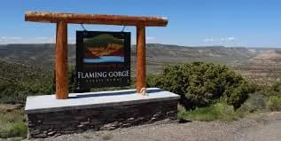 Fish Stocking To Be Underway Soon On Flaming Gorge
