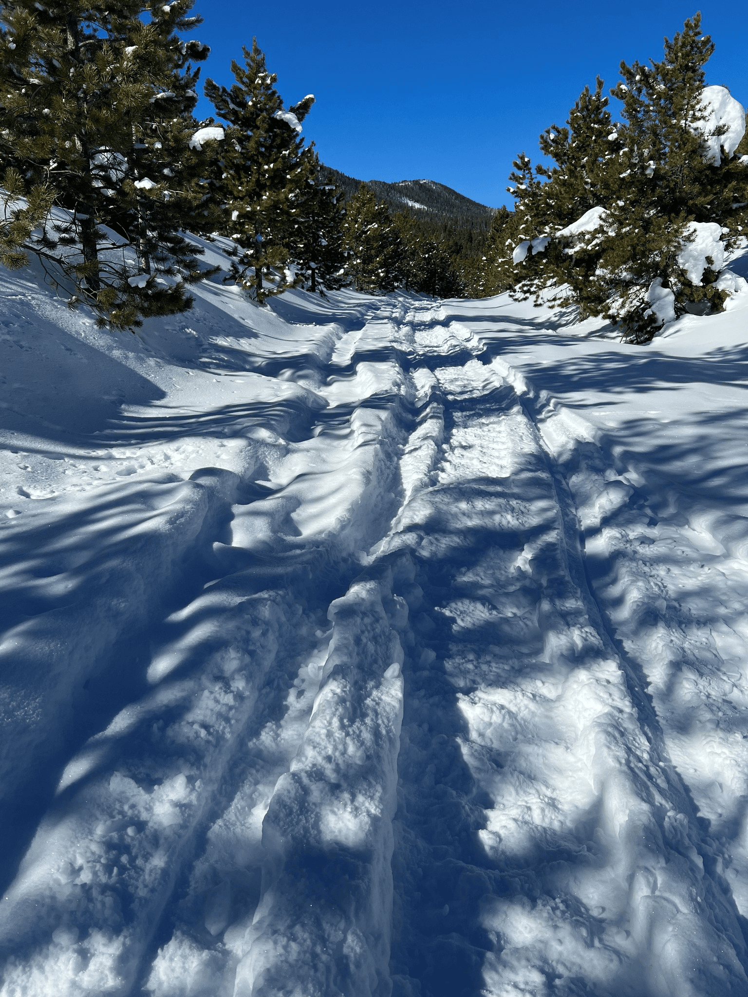 Ashley National Forest: Ski Trails Are For Non-Motorized Activities Only