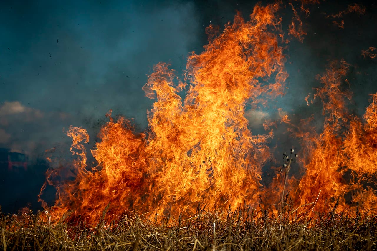 Uintah Basin Regulars Respond To Canadian Wildfires