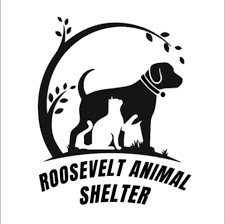 Roosevelt Animal Shelter Reminds Public About Pet Firework Safety