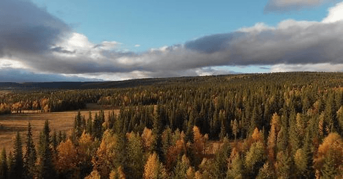 Applications for the FY 2024 Firewood Bank Grant Program Open