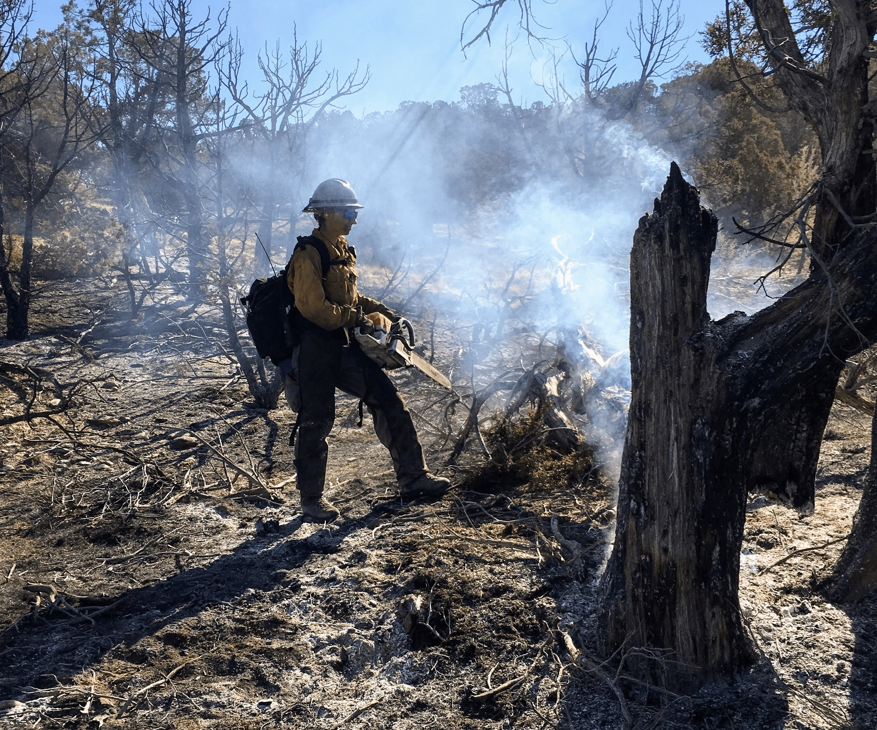 Dinosaur National Monument 14-Day Scoping Period On Fire Management Plan