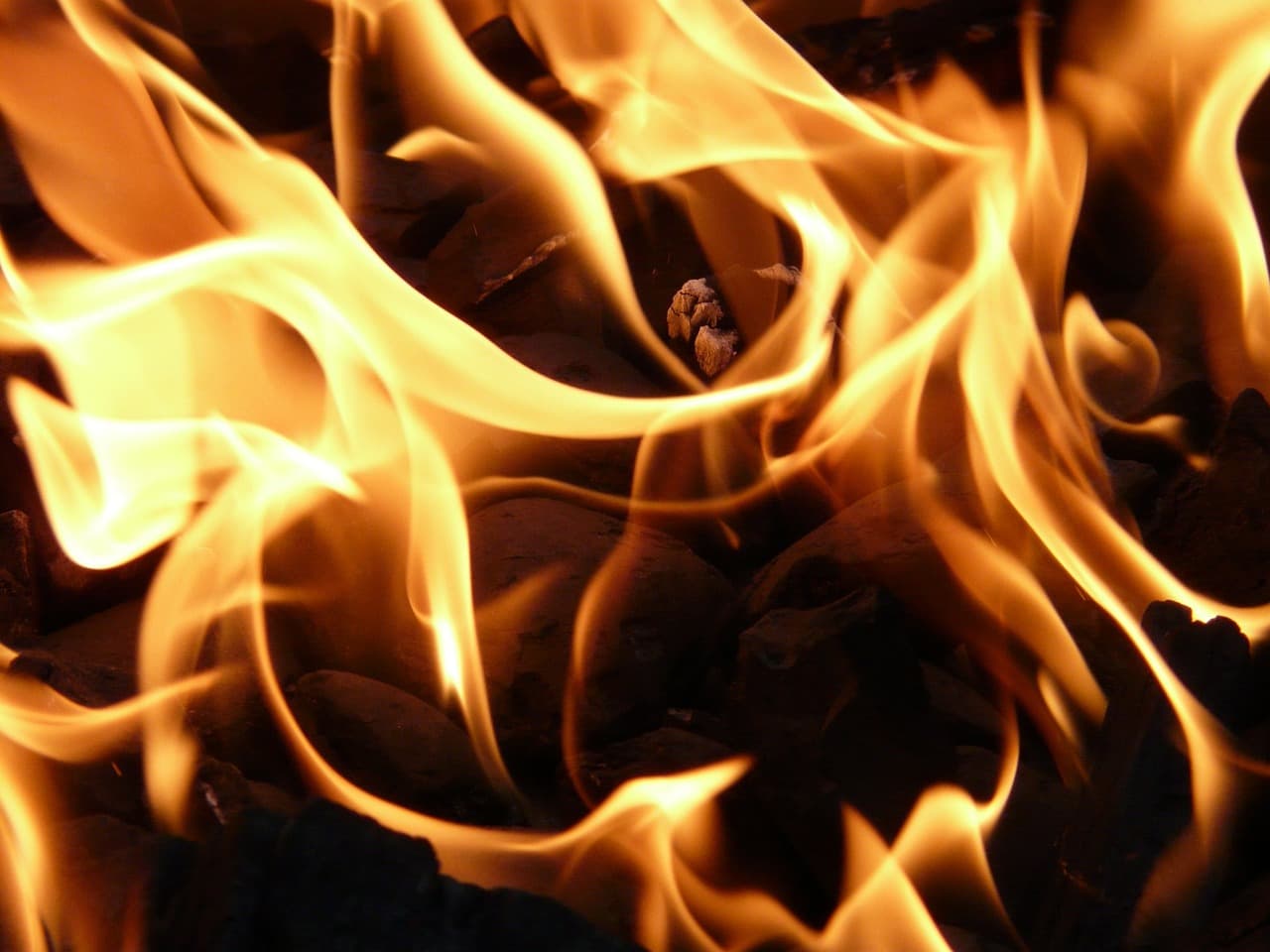 Ashley National Forest Holds Annual Fire Readiness Review