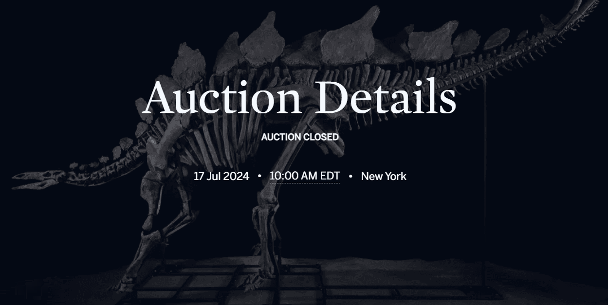 ‘Apex’ Stegosaurus Fossil Auctions For Whopping $44.6 Million