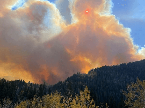 Logging Company Responsible For Yellow Lake Fire Will Pay Fine