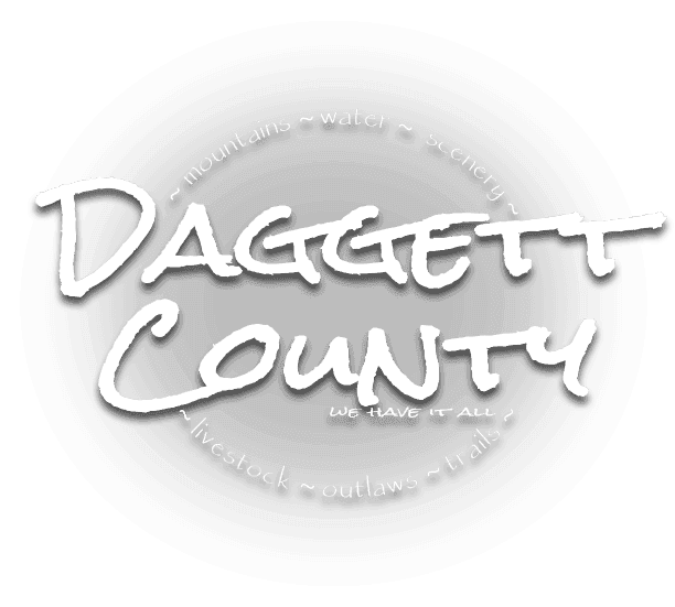 Daggett County Preliminary Election Results
